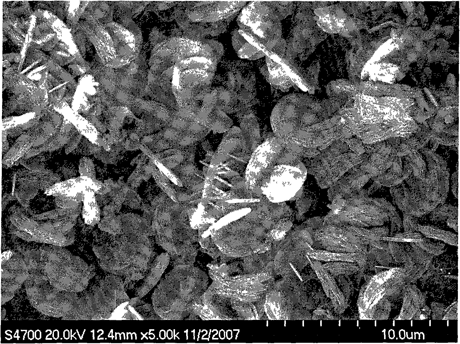 Method for synthesizing zeolite on cordierite carrier