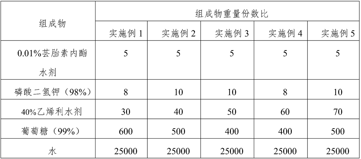 A compound spraying agent for controlling spruce dwarf mistletoe in flowering stage