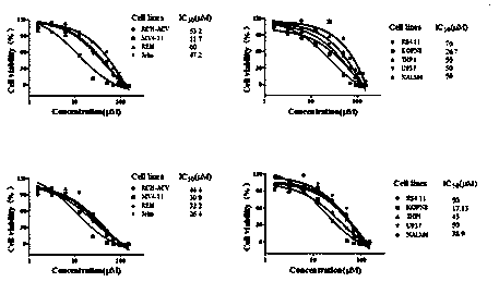 5-benzylidene-2-phenyl thiazolone compound as well as preparation and application thereof