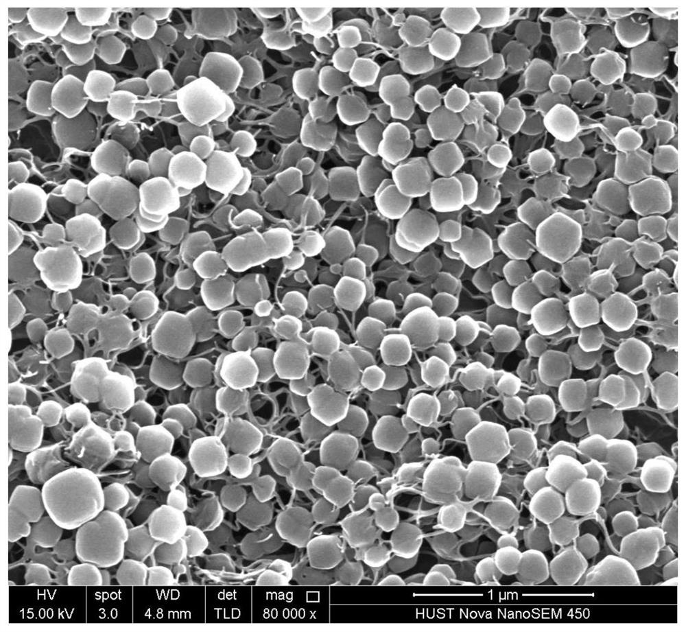 Aramid-coated battery separator loaded with nanomaterials, preparation method and lithium-sulfur battery