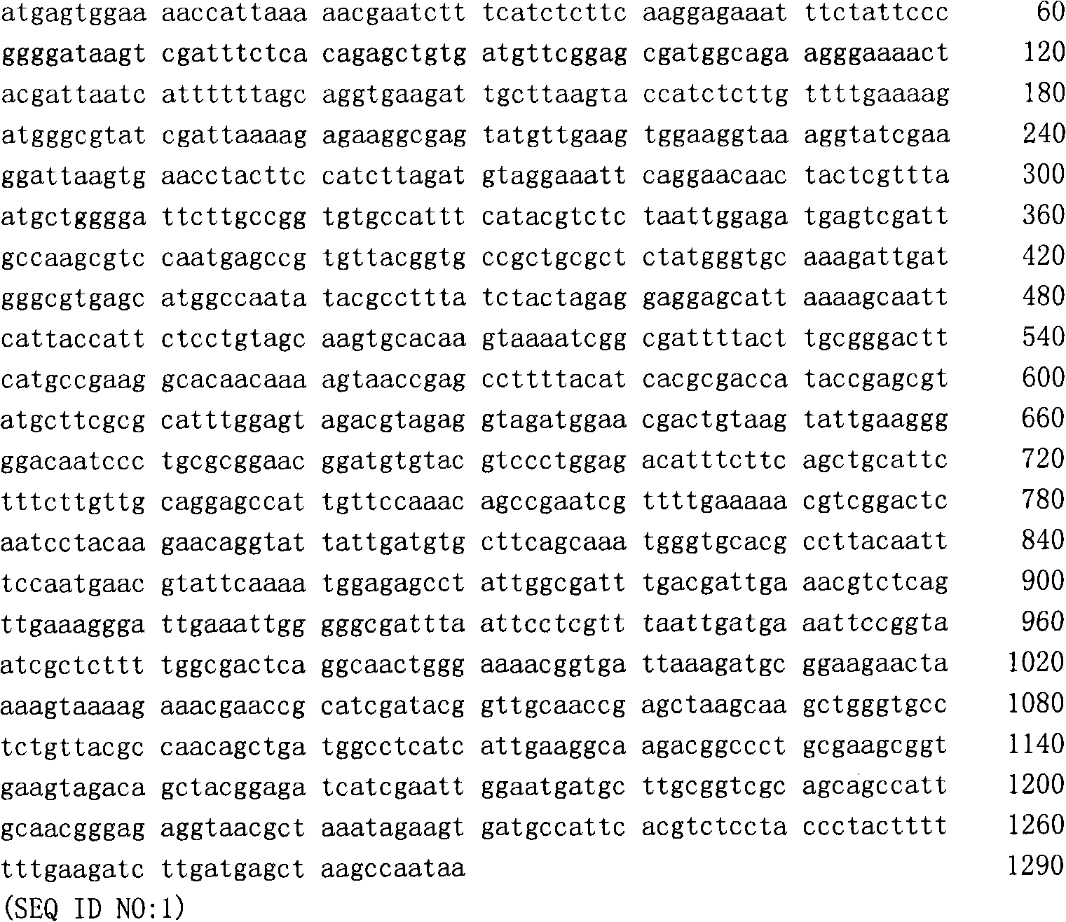 EPSP synthase of high resistant glyphosate and coding sequence thereof