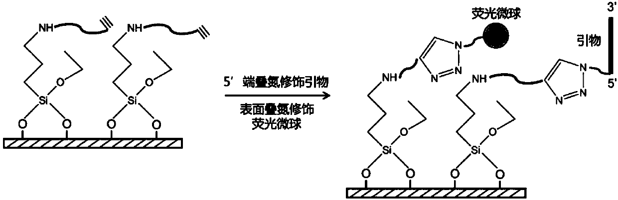 DNA single-molecule sequencing system and apparatus based on multicolor-fluorescence reversible termination nucleotide