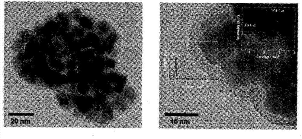 Metal nanoparticle-PCP complex and manufacturing method therefor