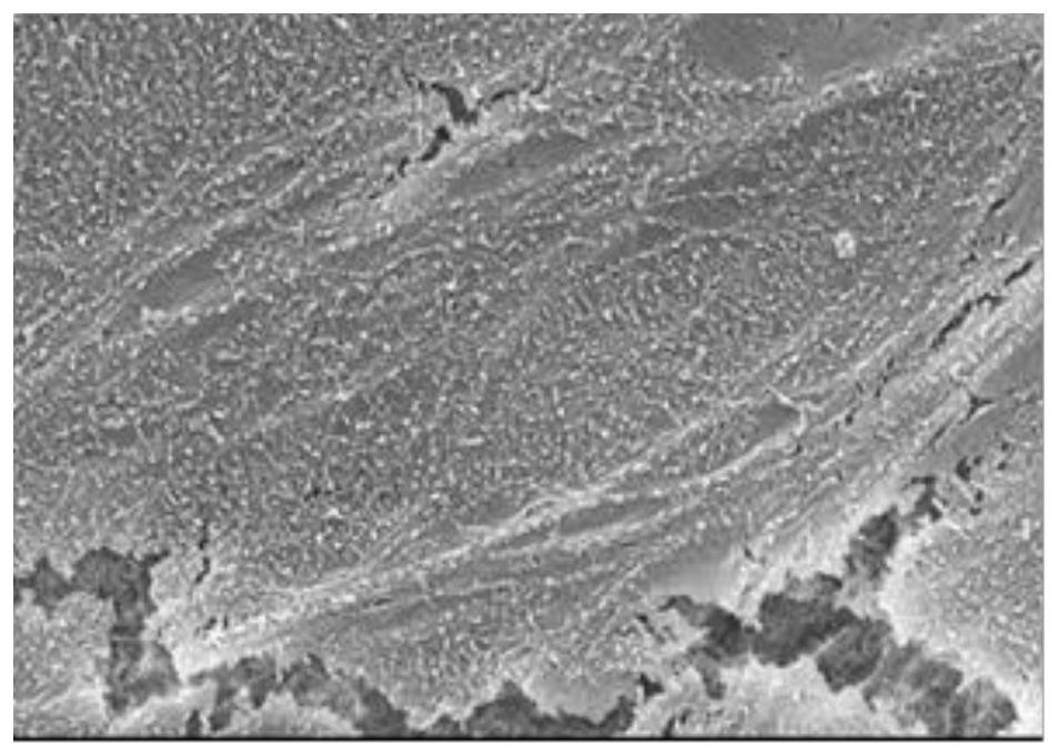 Preparation process of epoxy modified reverse osmosis membrane, reverse osmosis membrane and application of reverse osmosis membrane