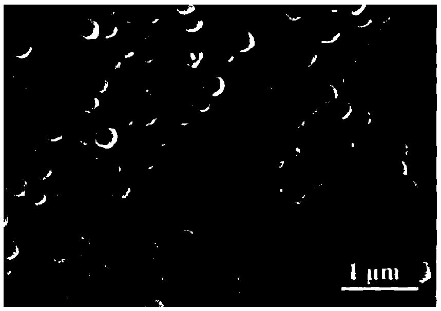 Preparation method for patterned photonic crystal structural coloration material with stable structure and bright color