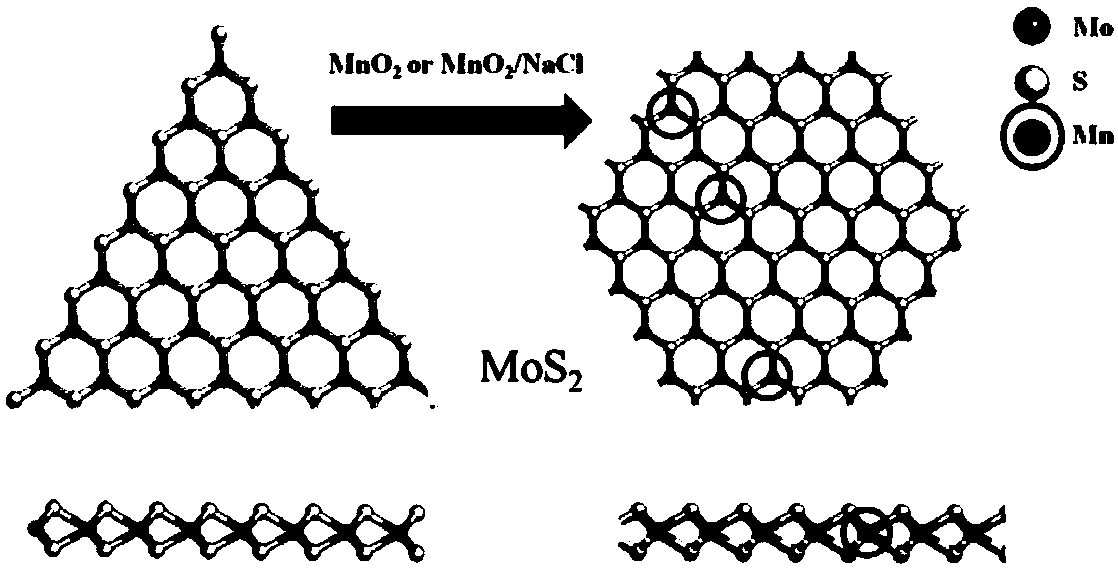 Transition metal-doped molybdenum disulfide thin-layer material as well as preparation method and application thereof