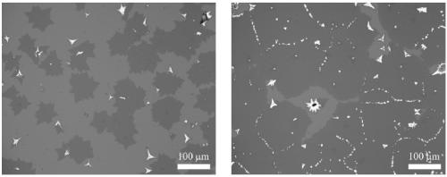 Transition metal-doped molybdenum disulfide thin-layer material as well as preparation method and application thereof