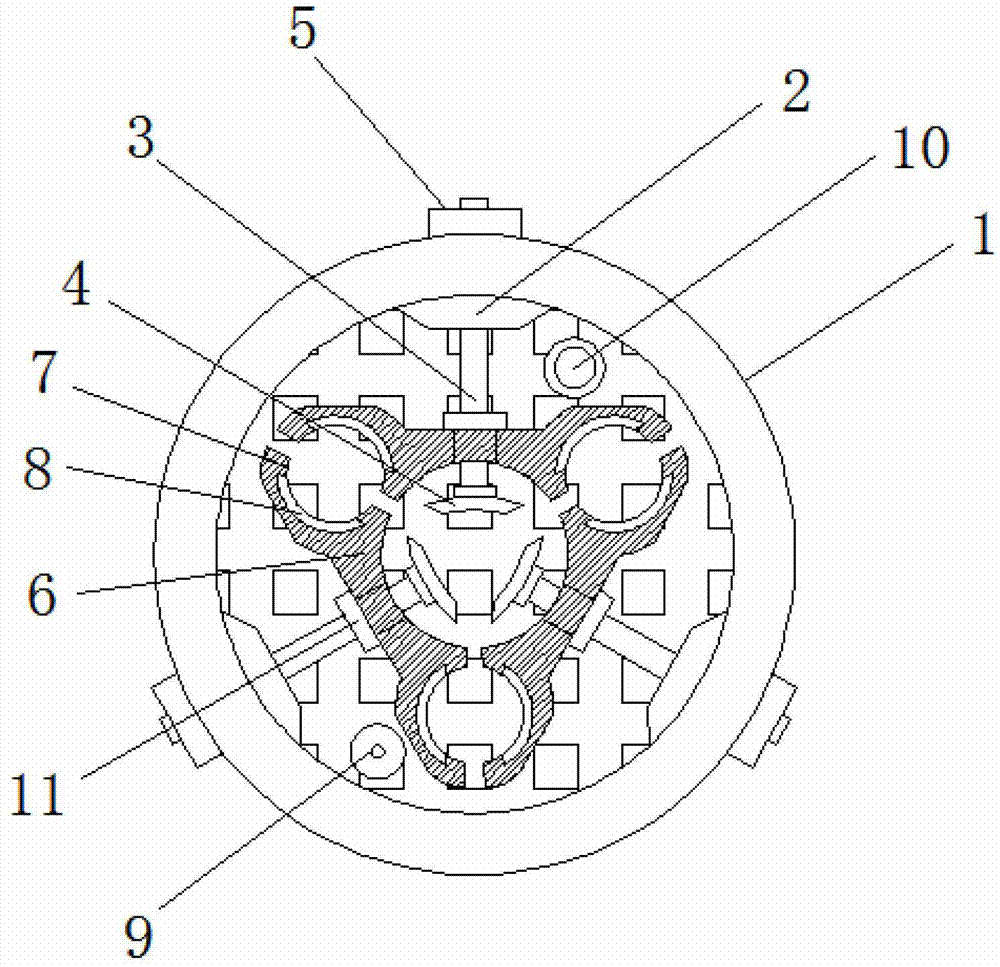 Multifunctional adjustable hydroponics flower planting basket