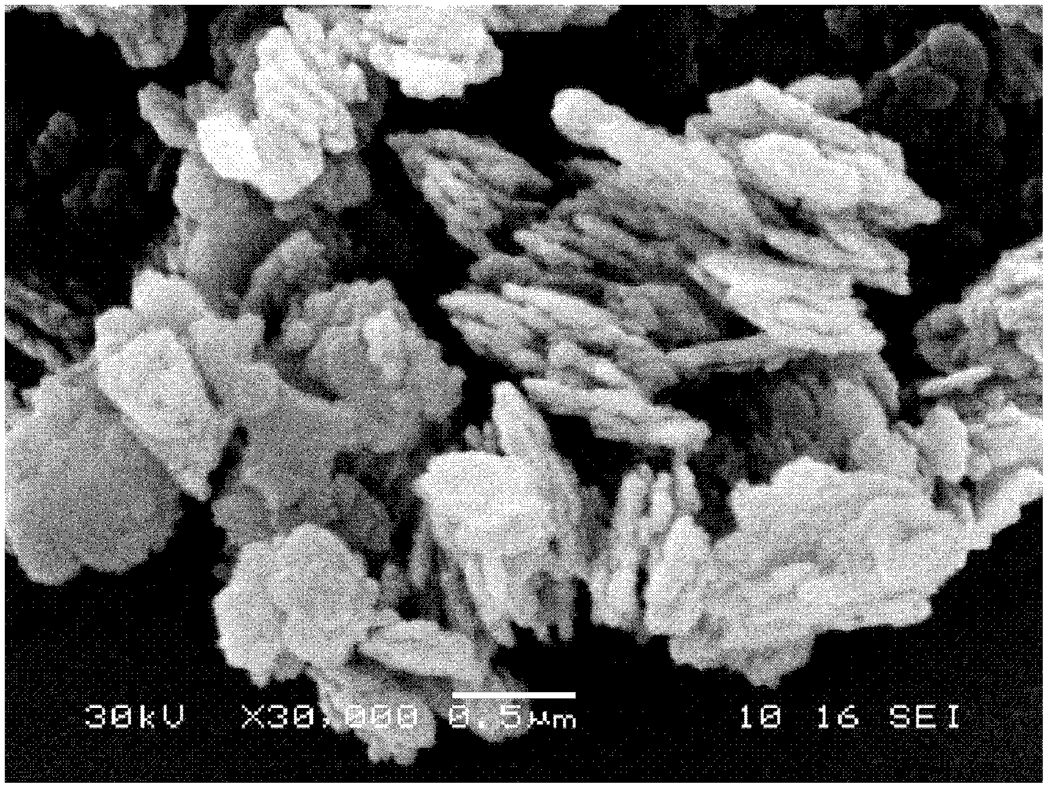 Method for preparing magnesium hydroxide by utilizing light calcined dolomite