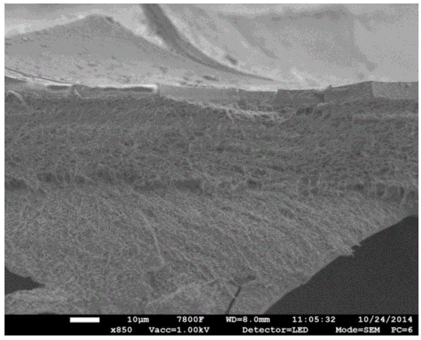 Composite anion-exchange membrane and preparation method thereof