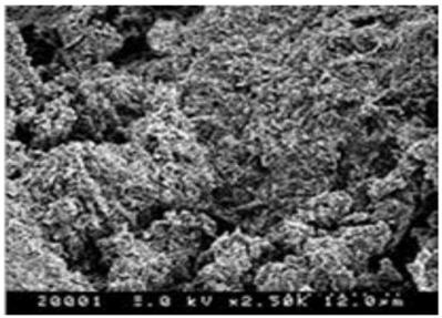 Water quality purification microorganism ecological unit, water quality purification microorganism ecological system and method of water quality purification microorganism ecological system