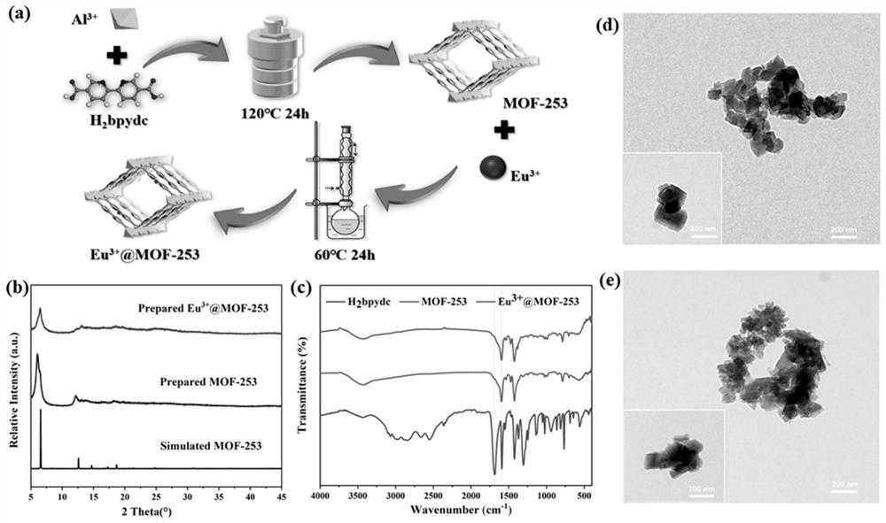 Metal-organic framework-based β-glucuronidase probes and applications