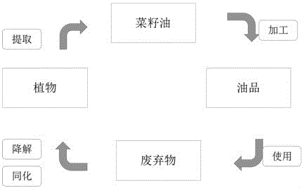 Environment-friendly shock absorber oil for automobiles and preparation method of shock absorber oil