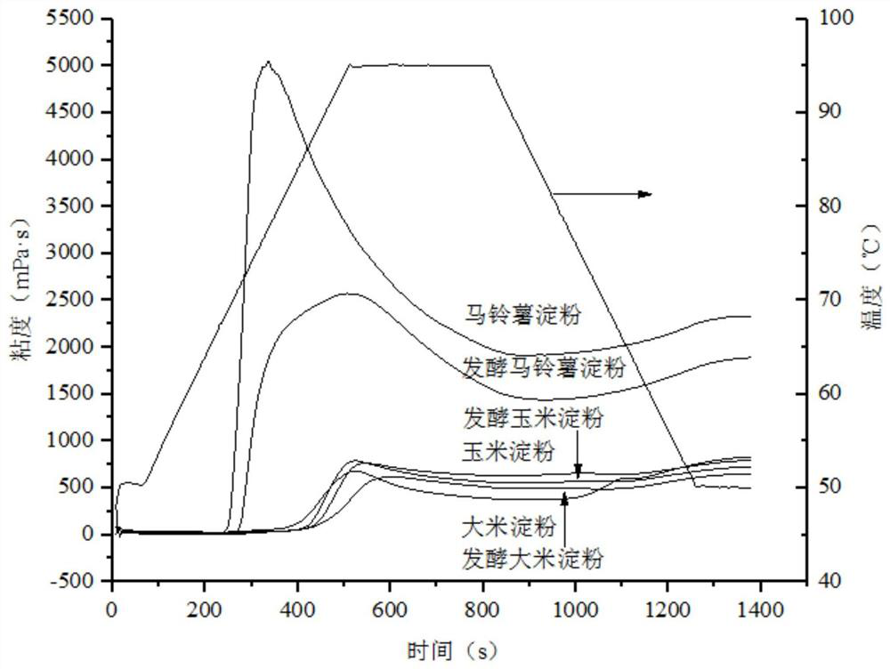 A kind of production process and application of fermented cassava starch for baking