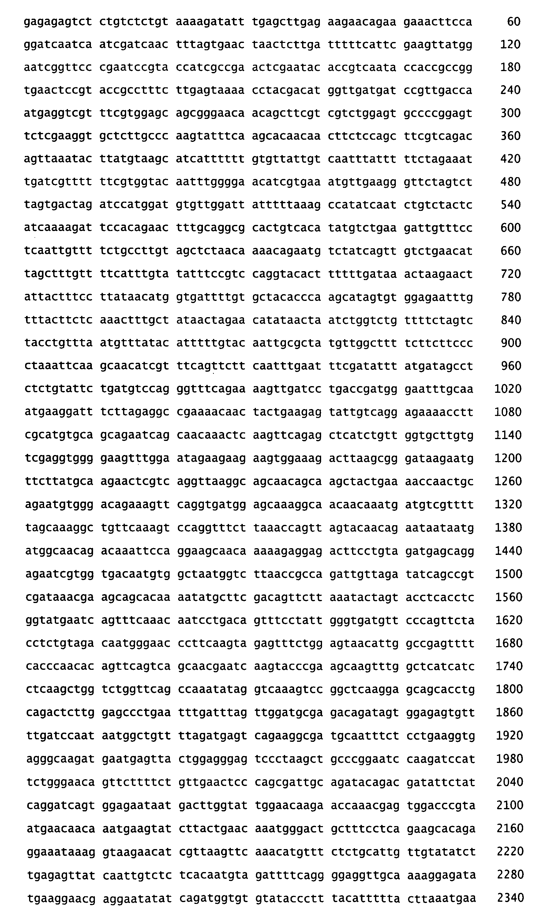 Plant Responses