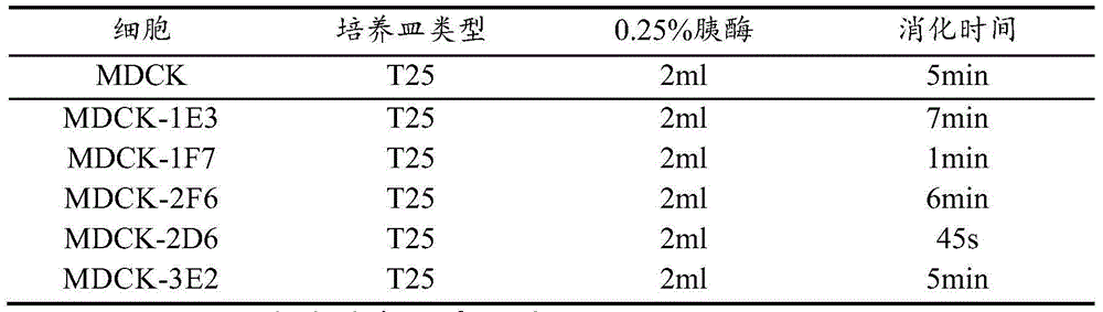 MDCK (Madin-Darby Canine Kidney) clone cell strains and application thereof