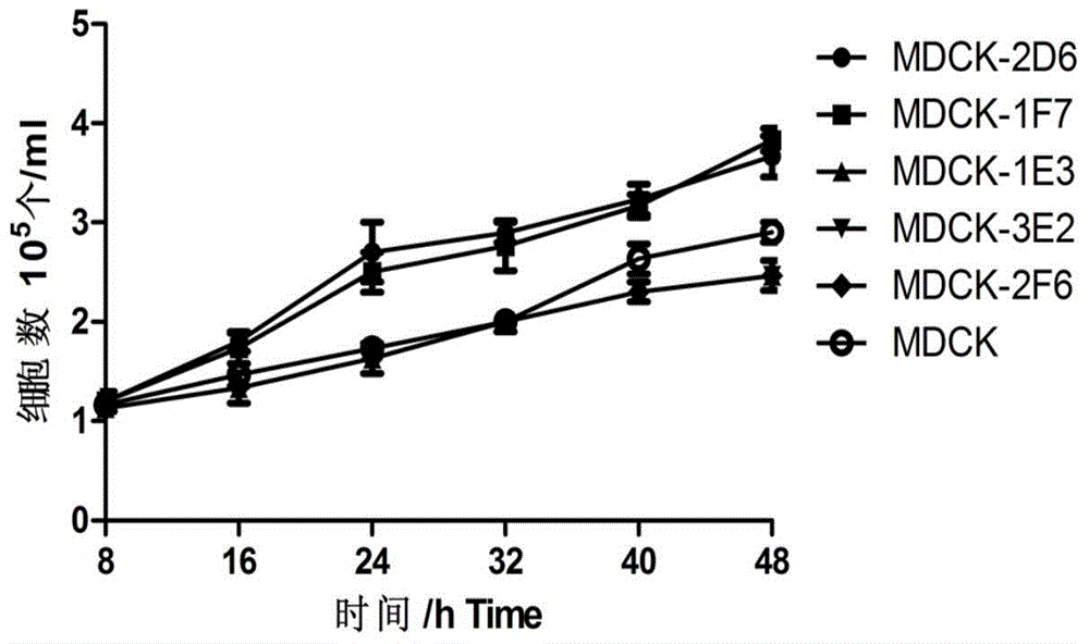 MDCK (Madin-Darby Canine Kidney) clone cell strains and application thereof