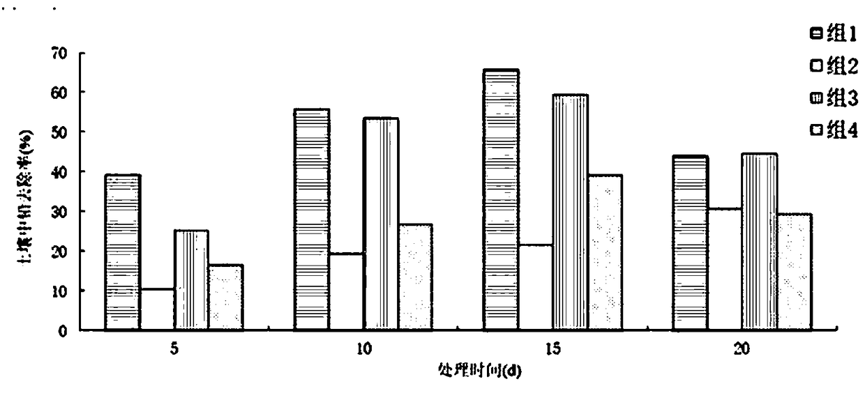 Soil remediation agent for lead and benzopyrene combined pollution and application thereof