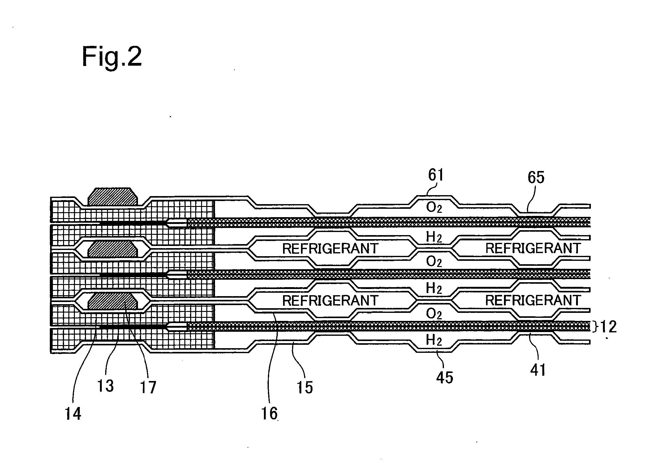 Fuel cell and gas separator for fuel cell