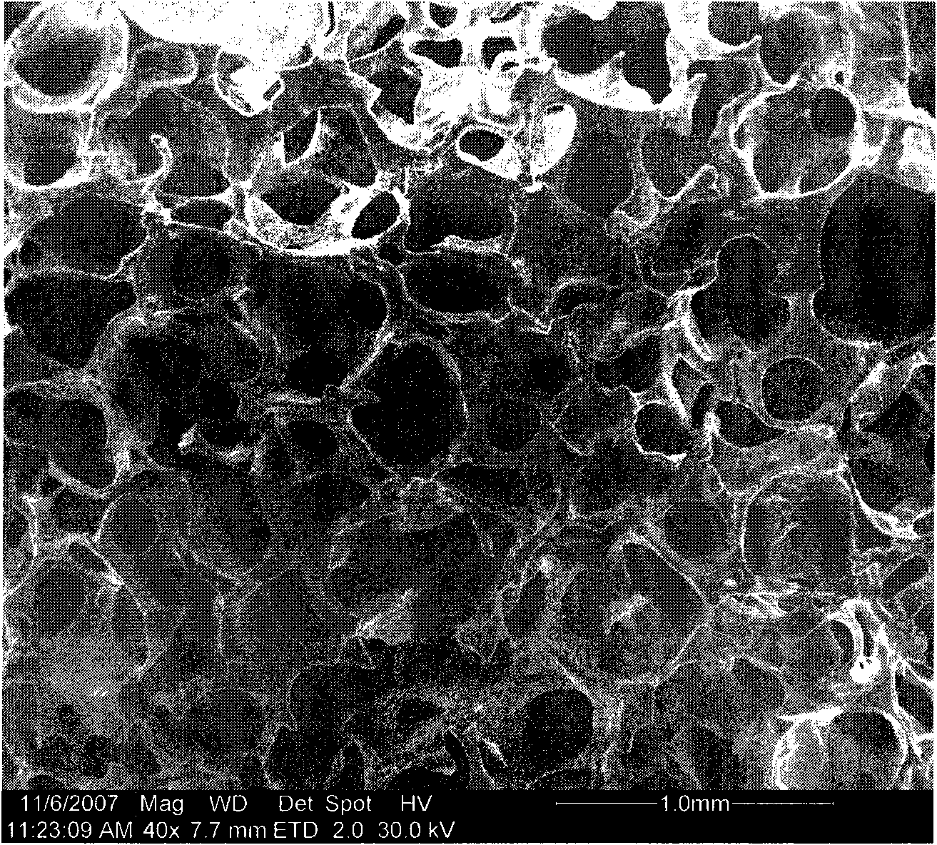 Release oxygen type stephanoporate abio/organic composite material stent