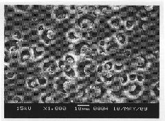 Method for preparing chitosan/polyving alcohol/polylactic acid blended dense membrane