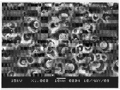 Method for preparing chitosan/polyving alcohol/polylactic acid blended dense membrane