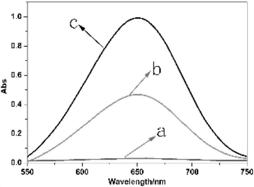 A colorimetric detection probe for detecting terramycin in food and a detecting method thereof