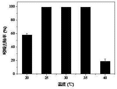 A strain of Burkholderia for aerobic degradation of indole and its application