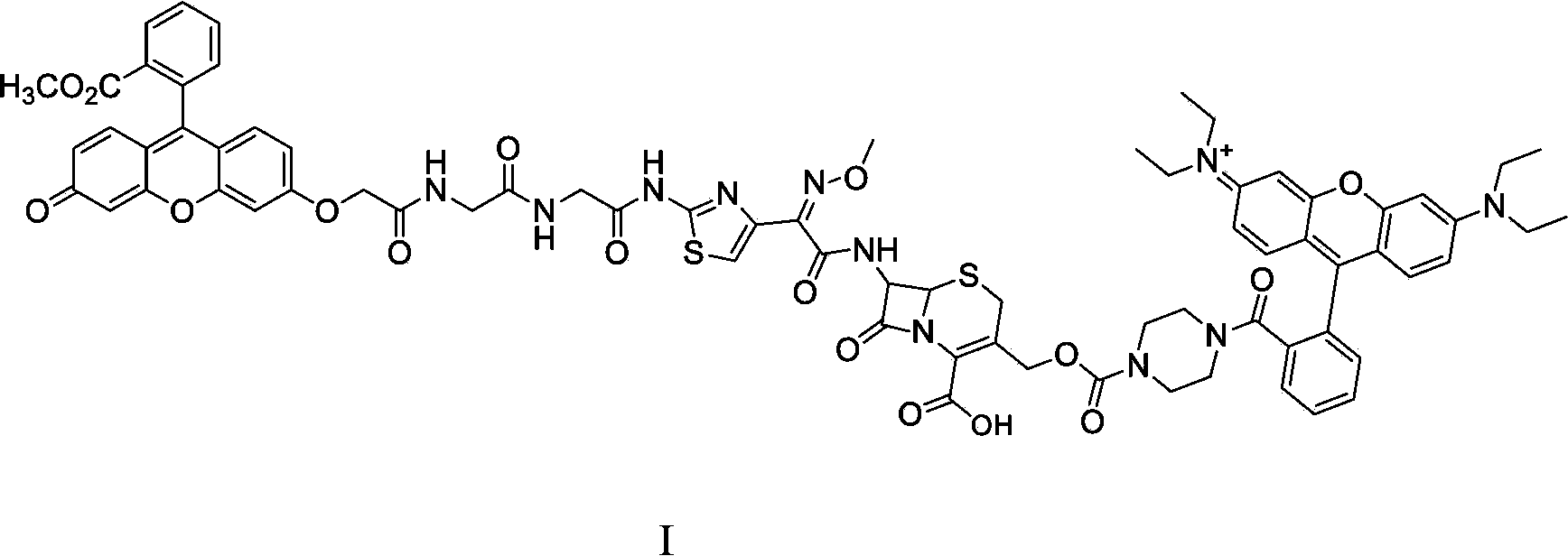 Bacterial drug resistance fluorescence detection method and diagnostic kit thereof