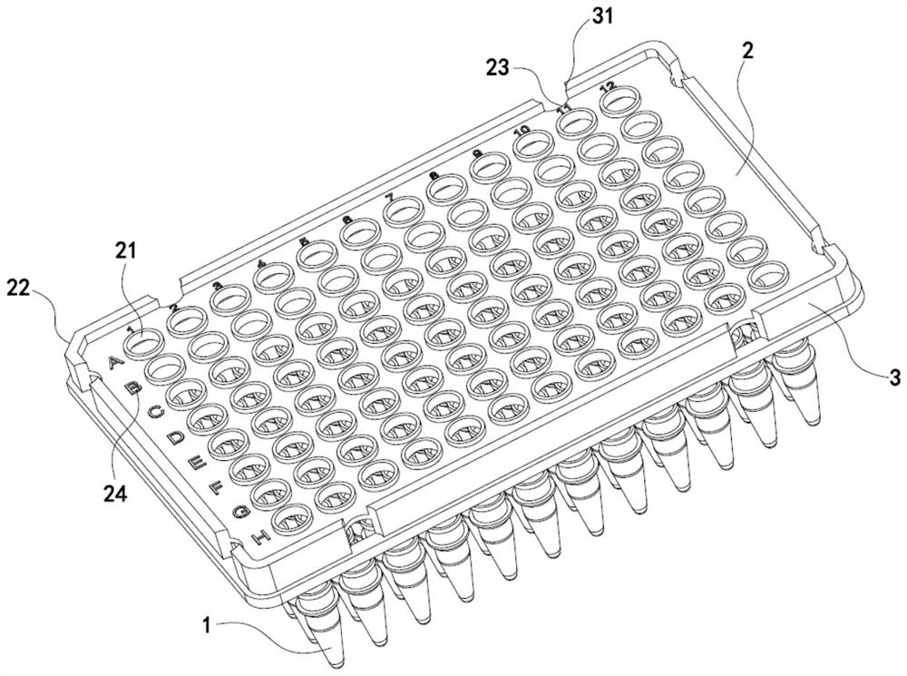 PCR plate