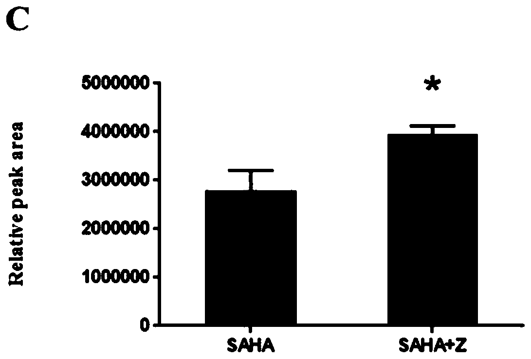 Application of Zuotai in preparation of medicine for promoting vorinostat to pass through blood brain barrier