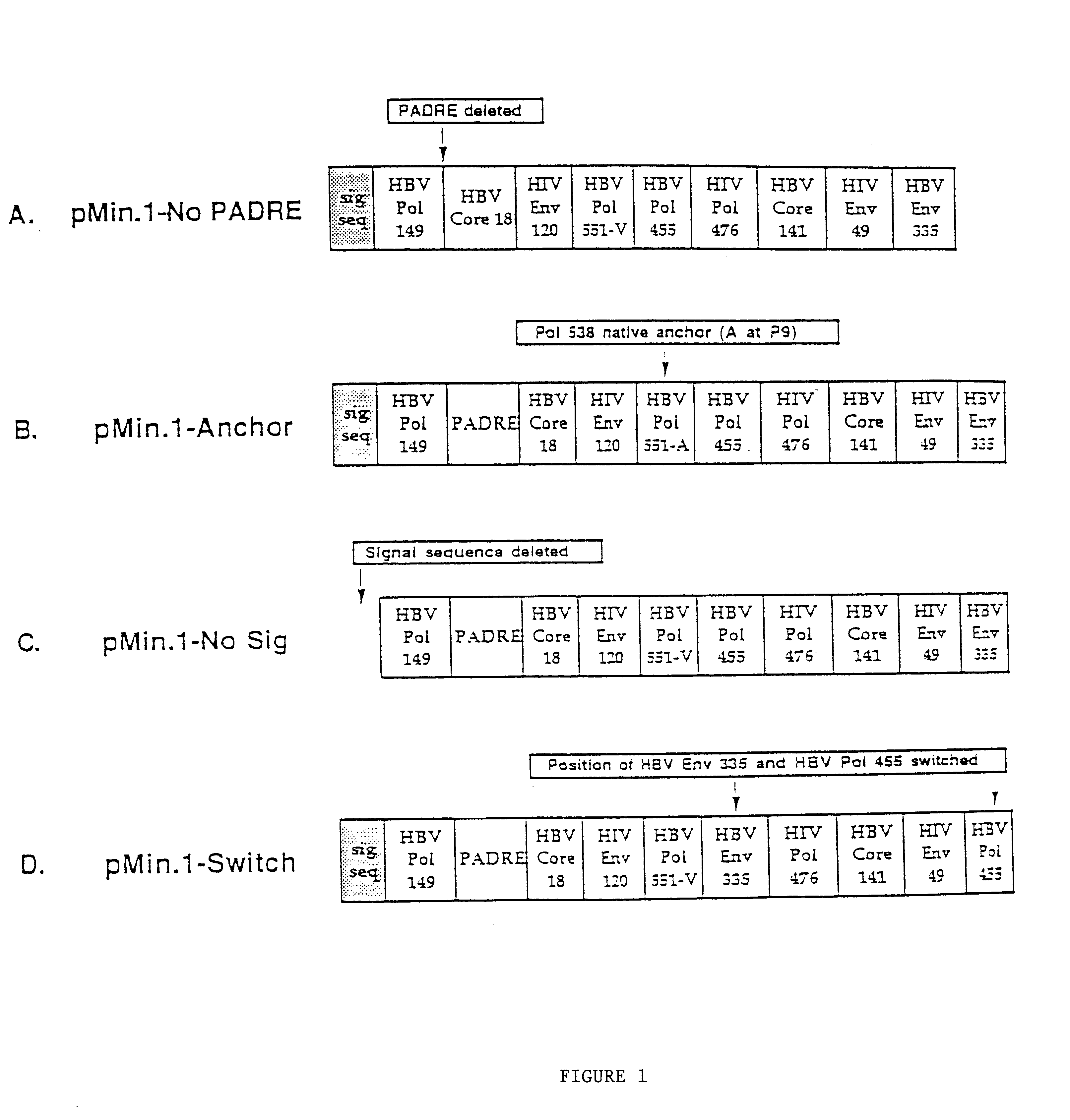 Inducing cellular immune responses to hepatitis B virus using peptide and nucleic acid compositions