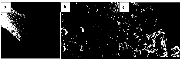 Preparation method of super-hydrophobic oleophylic material