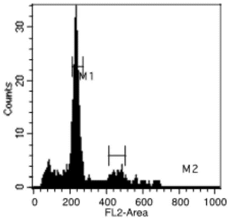 Pickle and purple cabbage trigenomic species allohexaploid vegetable germplasm and acquisition method