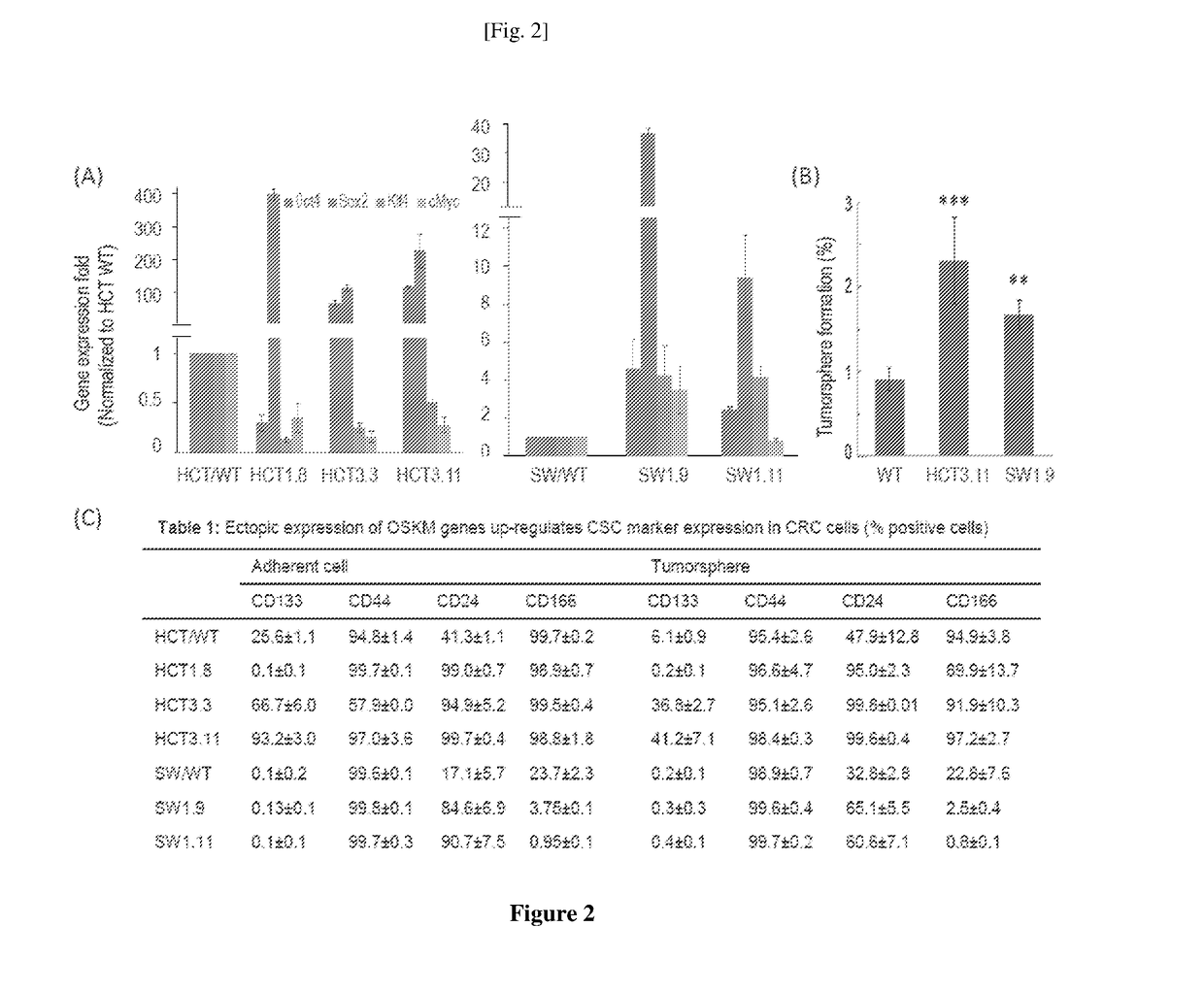 A method to up-regulate cancer stem cell markers for the generation of antigen specific cytotoxic effector t cells