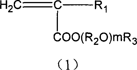 Cement disperser and its preparing method