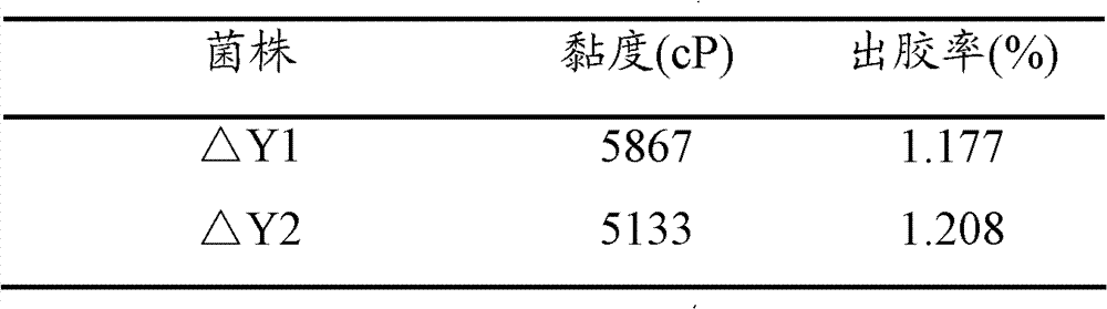 Lycopene cyclase gene in sphingomonas sp. and use thereof