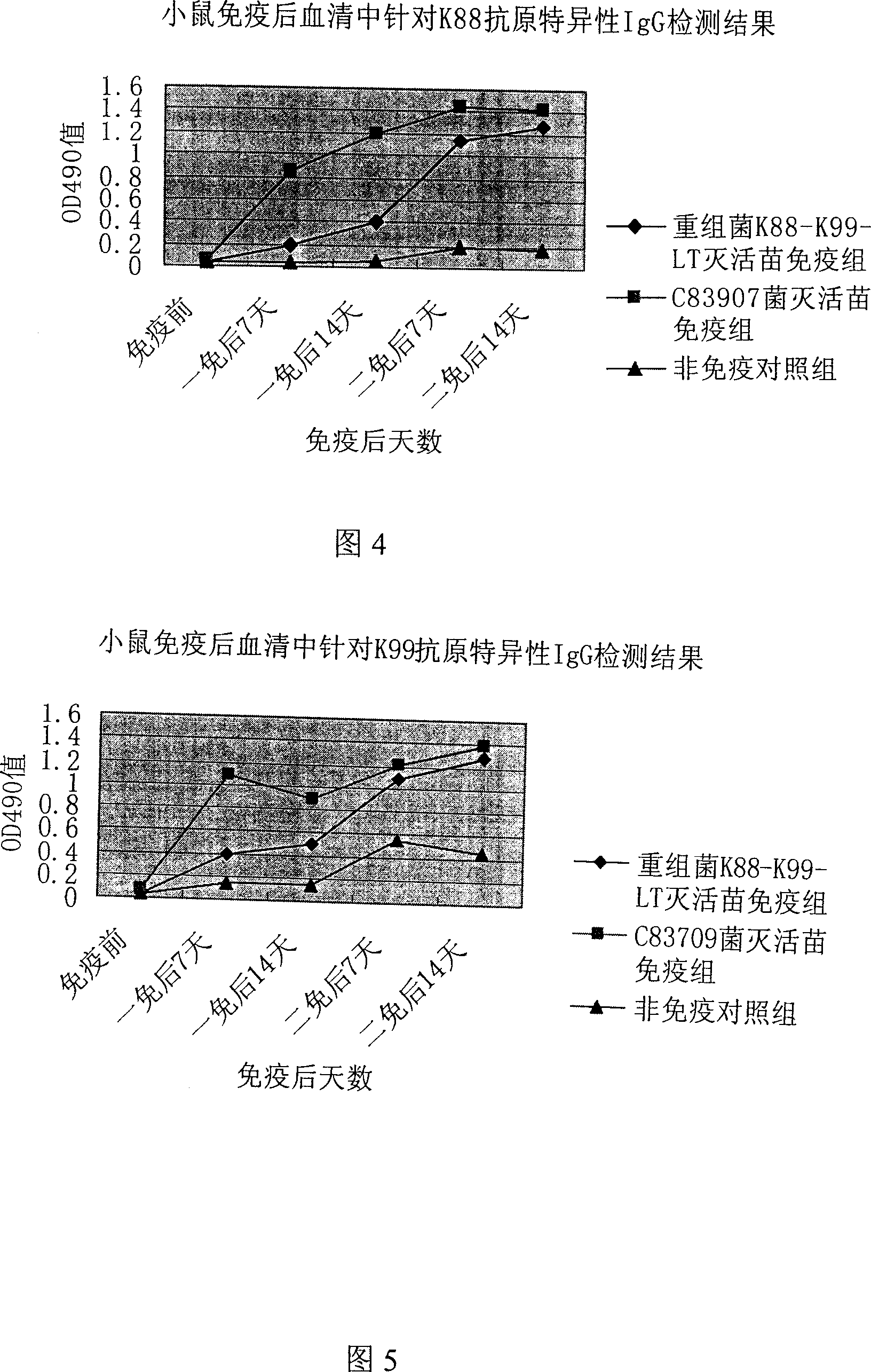 Colibacillus gene engineering bacterin K88-K99-LT for firstborn piglet diarrhea and construction method thereof