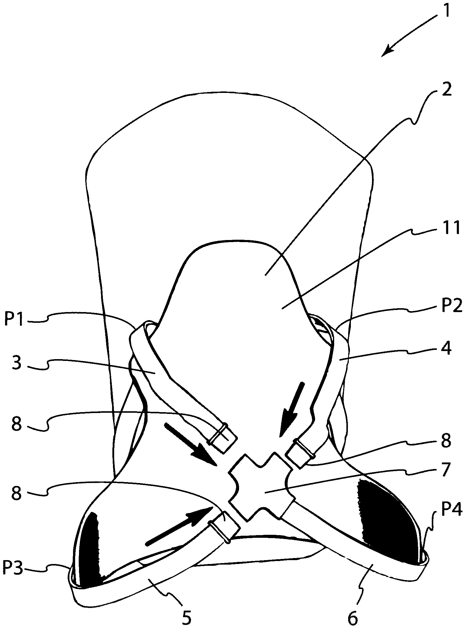 Carrying system