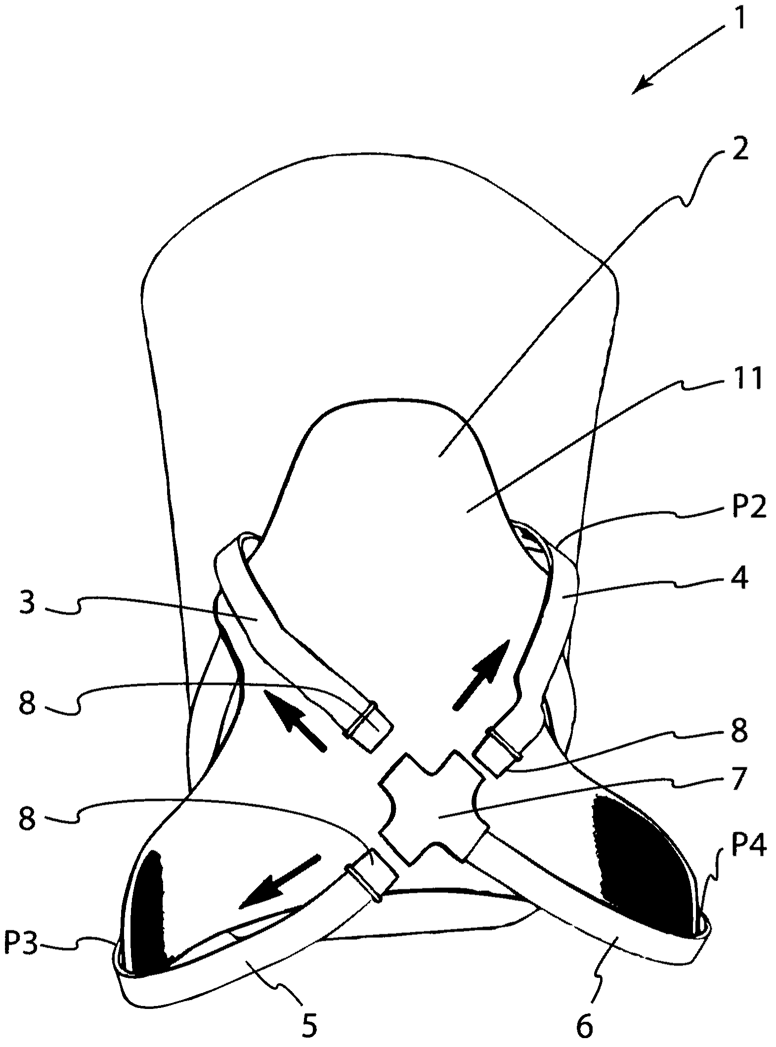 Carrying system