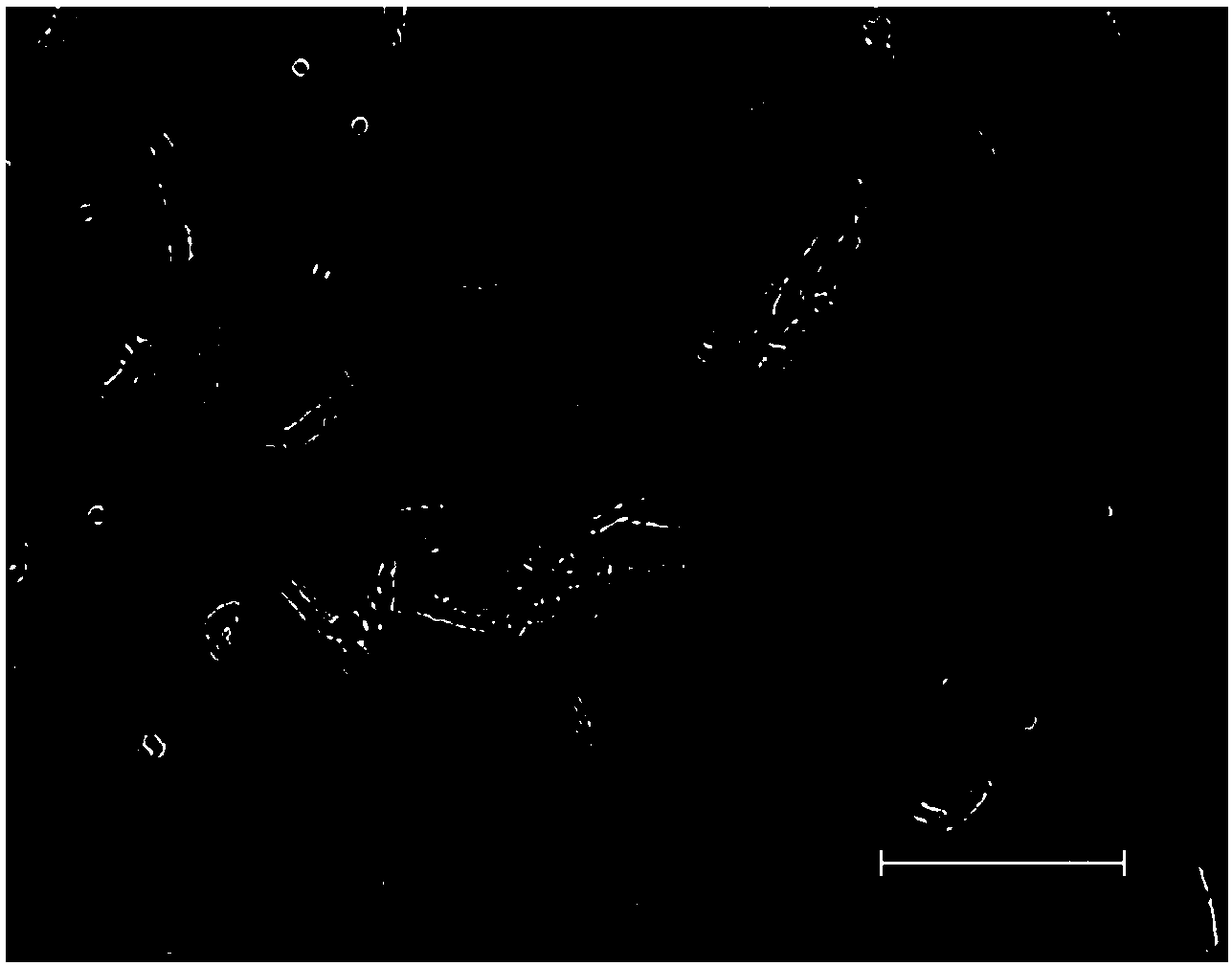 Plant growth-promoting bacillus aryabhattai for heavy saline-alkali soil and application of PGPR bacillusaryabhattai