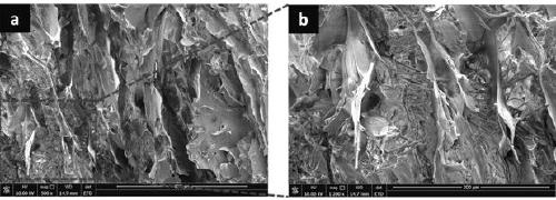 Preparation method of silk fibroin/gelatin fiber reinforced chitosan composite haemostatic material