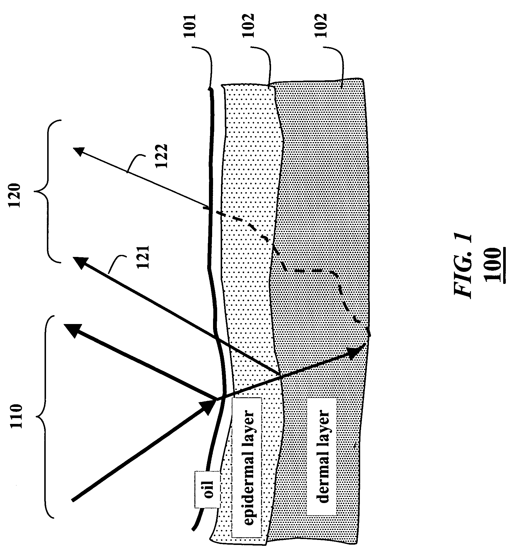 Skin reflectance model for representing and rendering faces