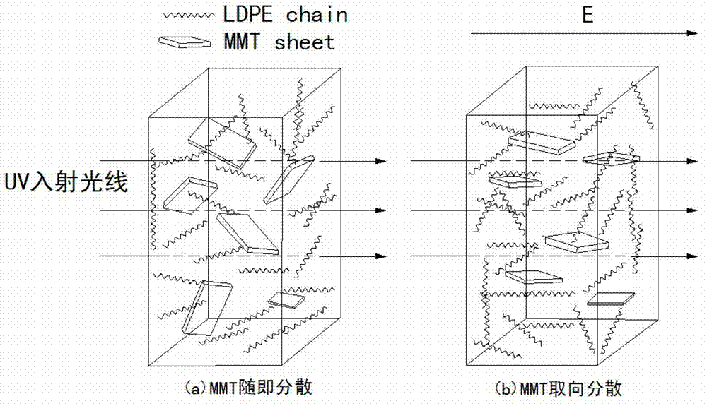 Device and method for inducing orientation arrangement of montmorillonoid in polyethylene by using electric field