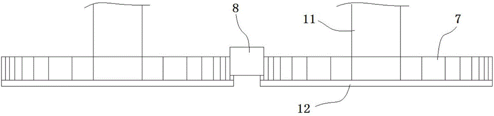 Rack locomotive and horizontal rack locomotive driving device