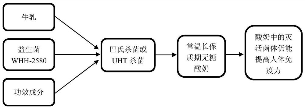 Normal-temperature long-shelf-life sucrose-free yoghourt capable of improving immunity and preparation method of normal-temperature long-shelf-life sucrose-free yoghourt