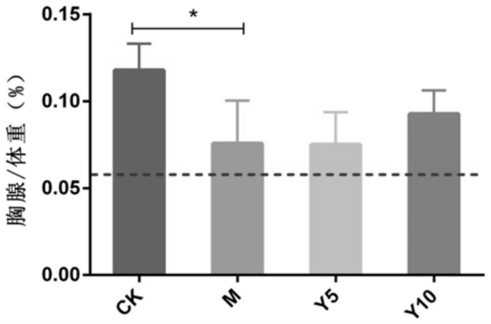 Normal-temperature long-shelf-life sucrose-free yoghourt capable of improving immunity and preparation method of normal-temperature long-shelf-life sucrose-free yoghourt