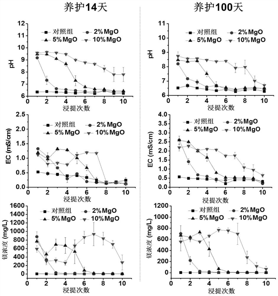 Long-acting evaluation method for active magnesium oxide solidified/stabilized zinc-containing smelting slag based on carbonation accelerated exposure