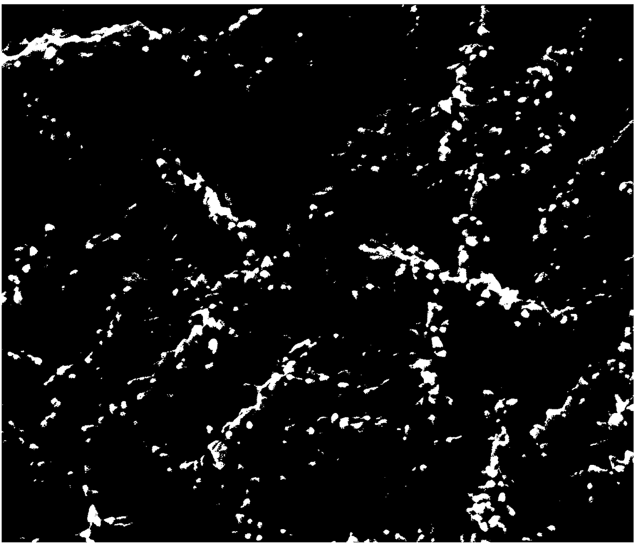 Preparation method for nickel phosphide-nitrogen doped graphite oxide foil composite nano material