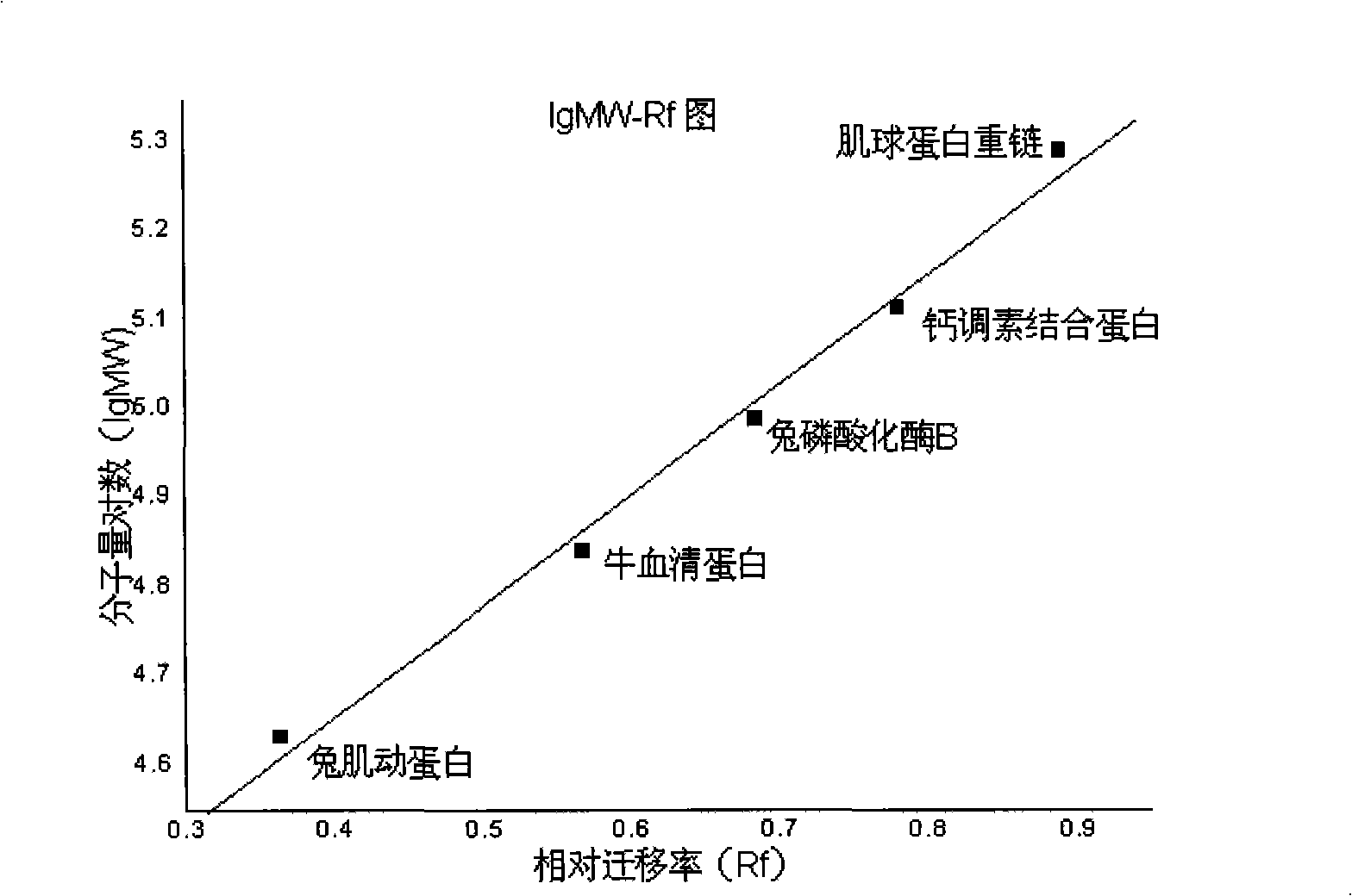 General use artificial antigen synthesis of aminoglycoside medicaments